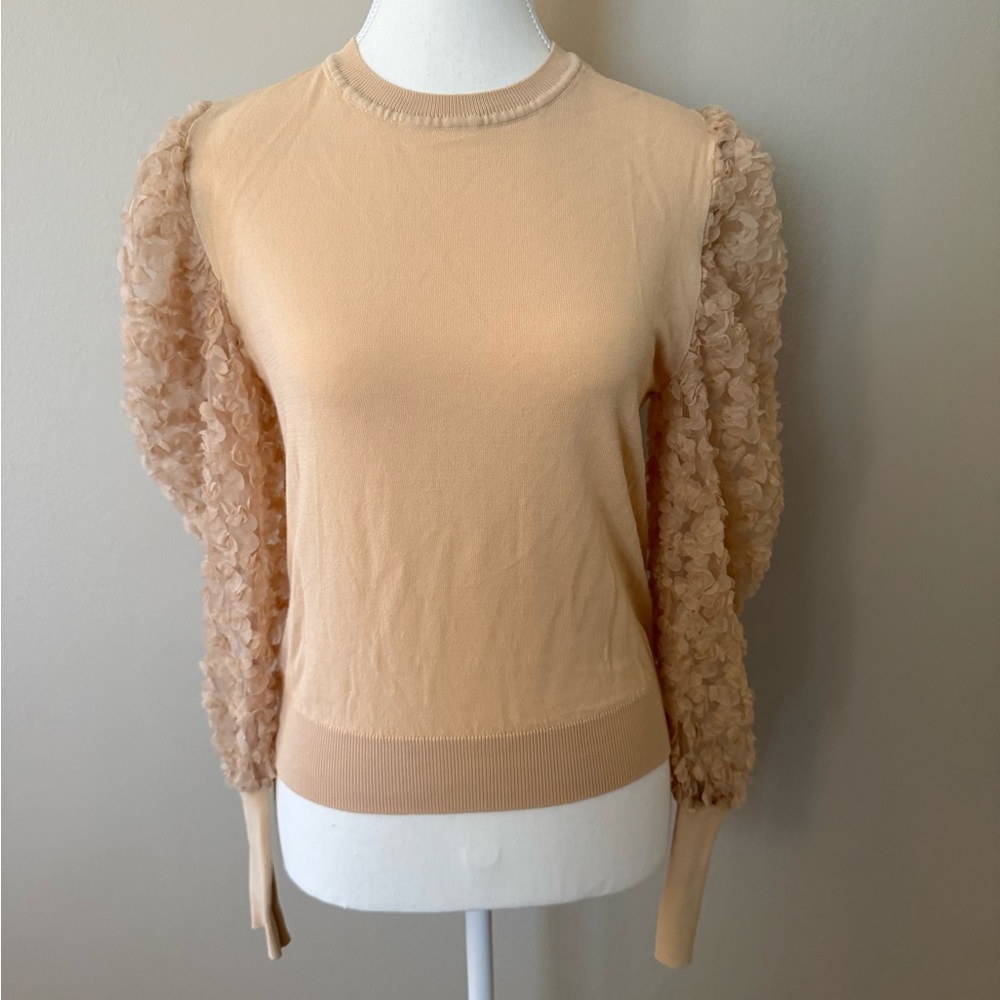 Zara Beige Ruffle Sleeve Top